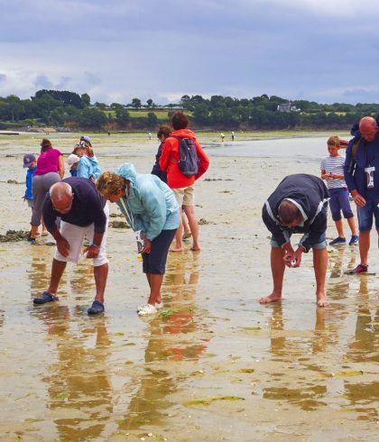 Pêche à pied