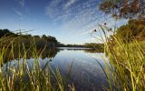 Marais de Mousterlin