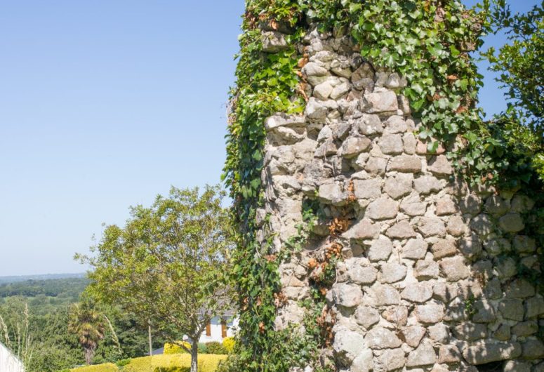 Ruines gallo-romaine de Cavardy (propriété privée)