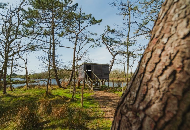 Observatoire Marais de Mousterlin