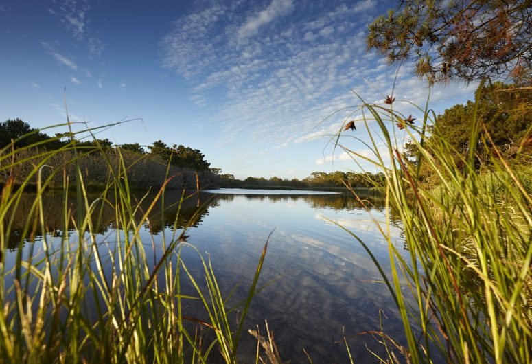 Le marais de Mousterlin