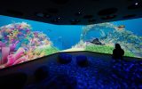 La-Cite-des-Oceanautes_Nouveaute-Oceanopolis-Ete2024_Credit-photo_Katia-Quemere_Oceanopolis (1)-min