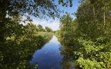 Marais de Mousterlin