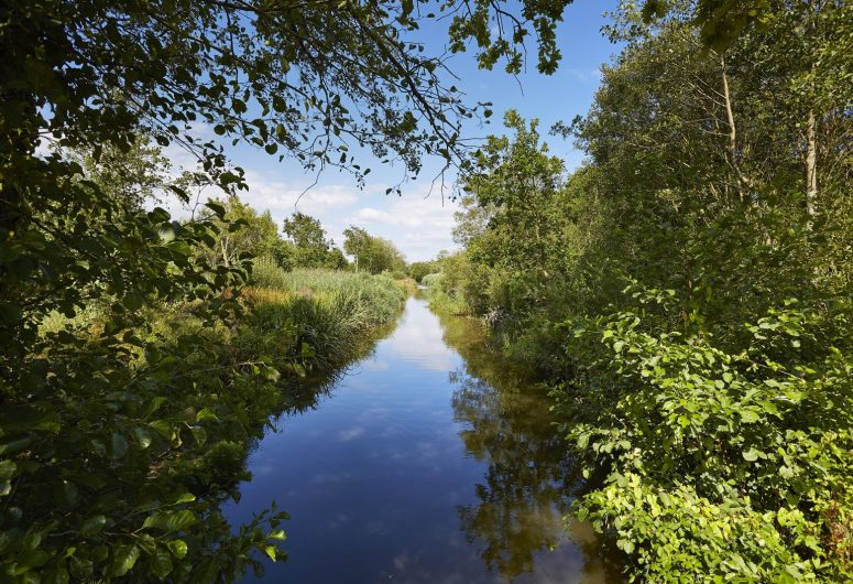 Marais de Mousterlin