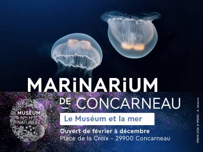 Marinarium – Aquarium à Concarneau – Aquariums Finistère Sud, Bretagne